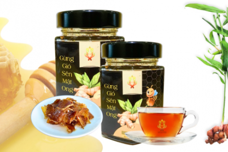 Hoàng Linh Biotech: Đưa Dược Liệu Việt Ra Thế Giới