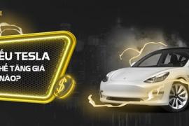 Phân tích sự tăng trưởng cổ phiếu Tesla cùng sàn First Option