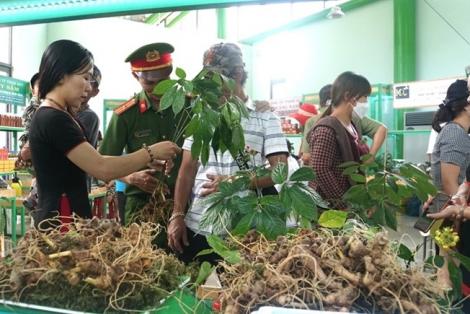 Lần đầu tổ chức lễ hội sâm cấp quốc gia