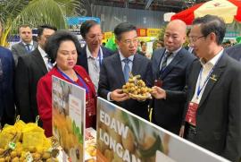 Hội chợ HCMC Expo 2025 - Điểm hẹn gặp gỡ đầy sôi động của các doanh nghiệp Việt Nam