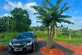 Nhà đầu tư “bấm bụng” đi vay ngân hàng, chờ giá đất lên