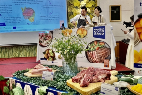 Nguyên Liệu Chuẩn Châu Âu: Khởi Đầu Cho Trải Nghiệm Ẩm Thực Đầy Cảm Hứng