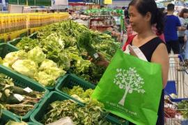 Từ đầu năm 2028, các đơn vị công lập ở Hà Nội sẽ không sử dụng bao bì nhựa khó phân hủy