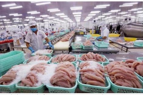 Xuất khẩu thủy sản lập kỷ lục, kim ngạch vượt 10 tỷ USD